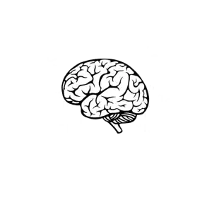 Scientific Sounds | Music for Healing, Meditation, Sleep & Relaxing